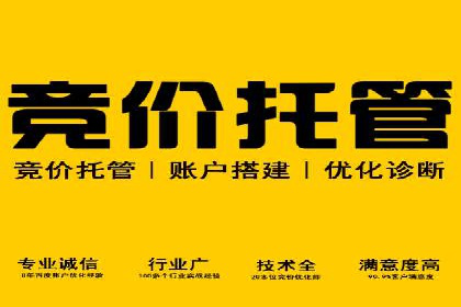 行业领先企业的SEM竞价代运营成功案例揭秘